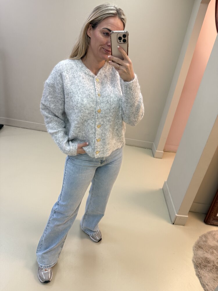 DAMES VEST HARTJE GRIJS