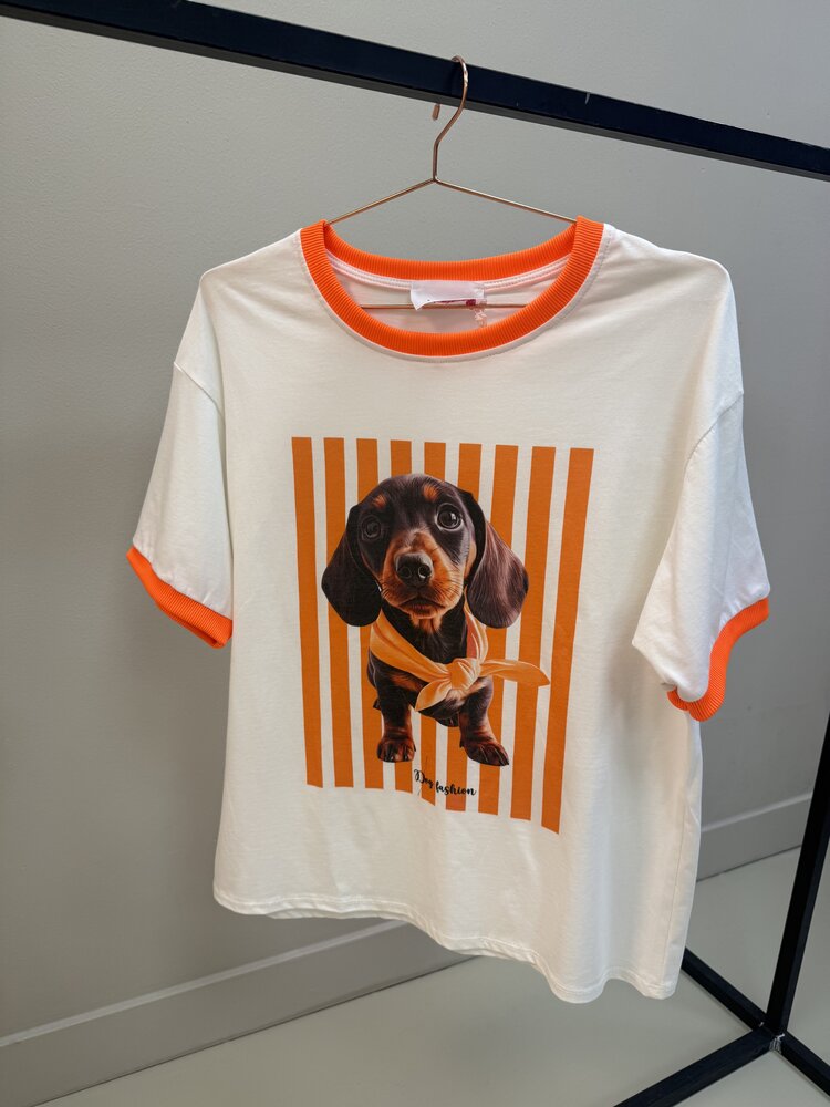 T-SHIRT TECKEL ORANJE