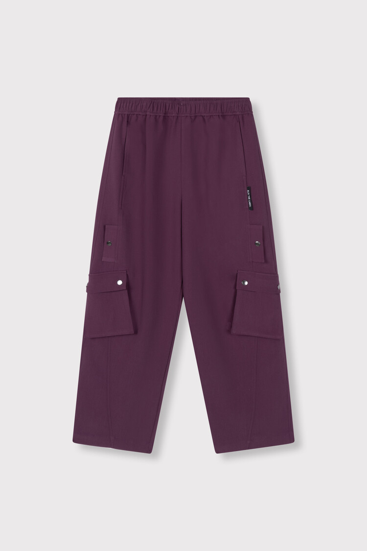 ALIX THE LABEL ALIX. THE LABEL CARGO PANTS