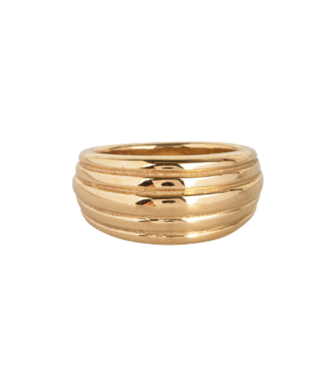 Charmins Ring R992 - Goud