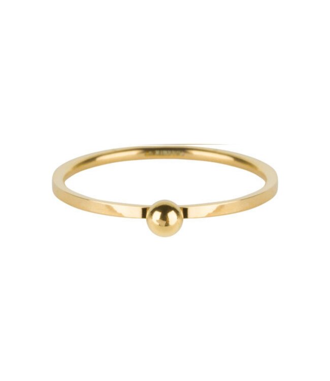 Charmins Ring R529 - Goud