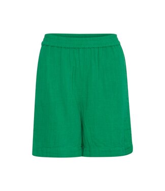 Saint Tropez UlrikaSZ Shorts - Deep Mint