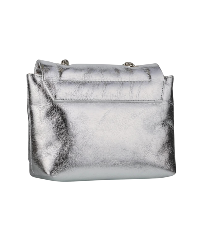 DWRS Label Spezia Metallic - Silver