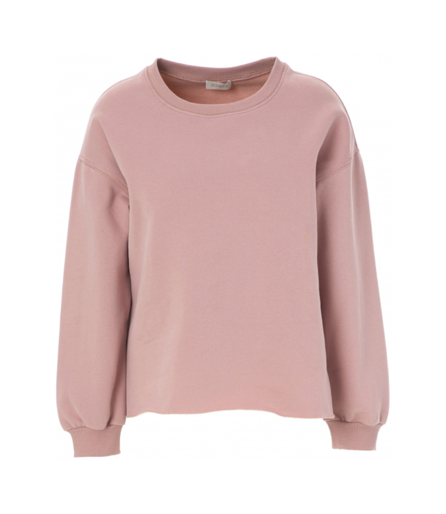 JCSophie Eden Sweater - Blush