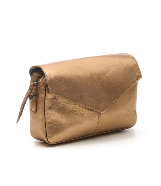 Chabo Rio Romy - Copper