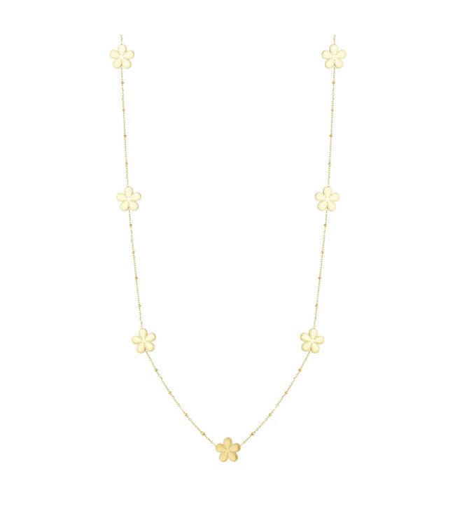 Color Club Ketting Noor - Gold