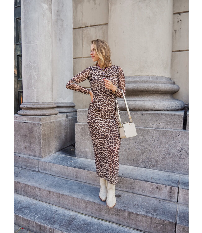 Catwalk Junkie Long Sleeve Leopard Mesh Dress - Hummus