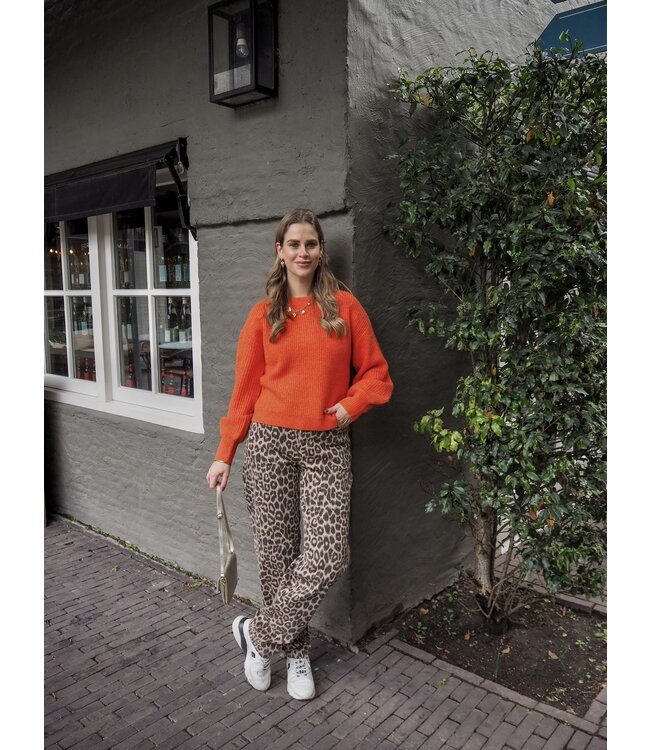 Catwalk Junkie Barrel Fit Leopard Jeans - Grey Morn