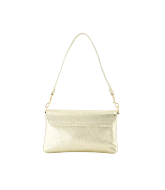 Color Club Lara Bag - Gold
