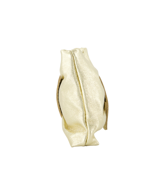 Color Club Bowie Bag - Gold