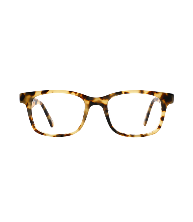 Frank and Lucie Leesbril Eyequarium - Greyvanna