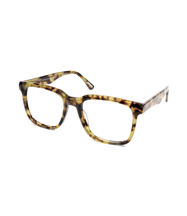 Frank and Lucie Leesbril Eyewant - Greyvanna