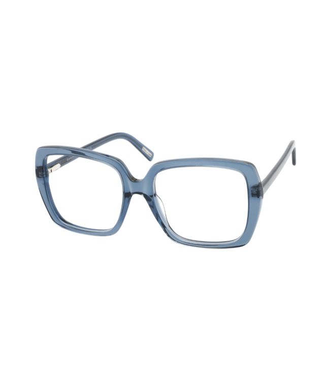 Frank and Lucie Leesbril Eyedentity - Hazy Harbor