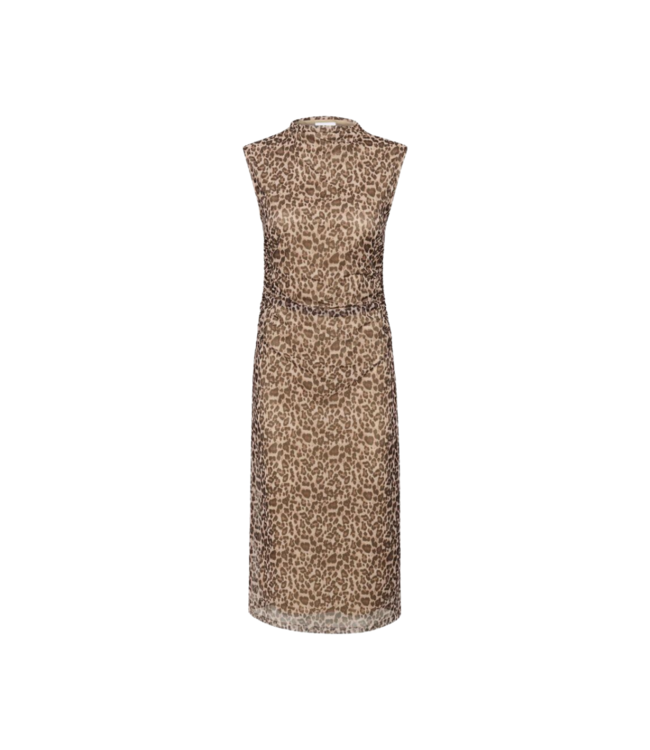 Saint Tropez Loreen Dress - Black Reg Leo