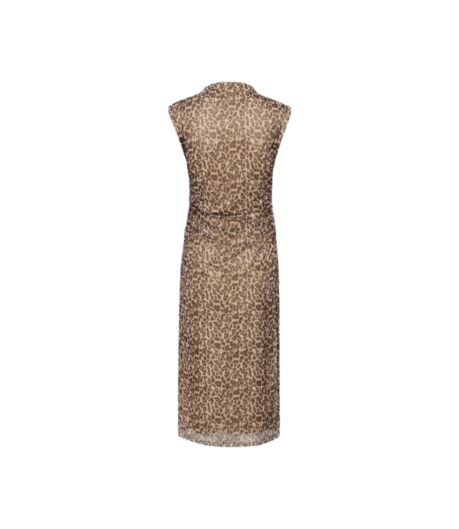 Saint Tropez Loreen Dress - Black Reg Leo