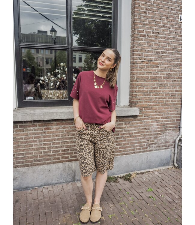 Saint Tropez Lyciana T-Shirt - Decadent Chocolate