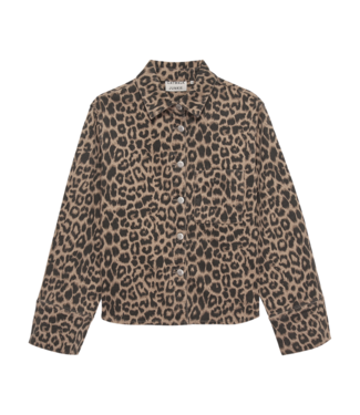Catwalk Junkie Leopard Jacket - Grey Morn