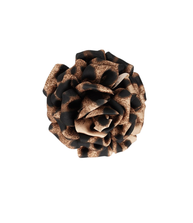 Color Club Broche/Clip Wild Elegance - Brown Leopard