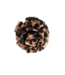 Color Club Broche/Clip Wild Elegance - Brown Leopard