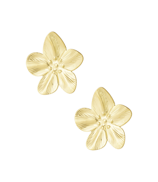 Color Club Oorbellen Petal Pop - Gold