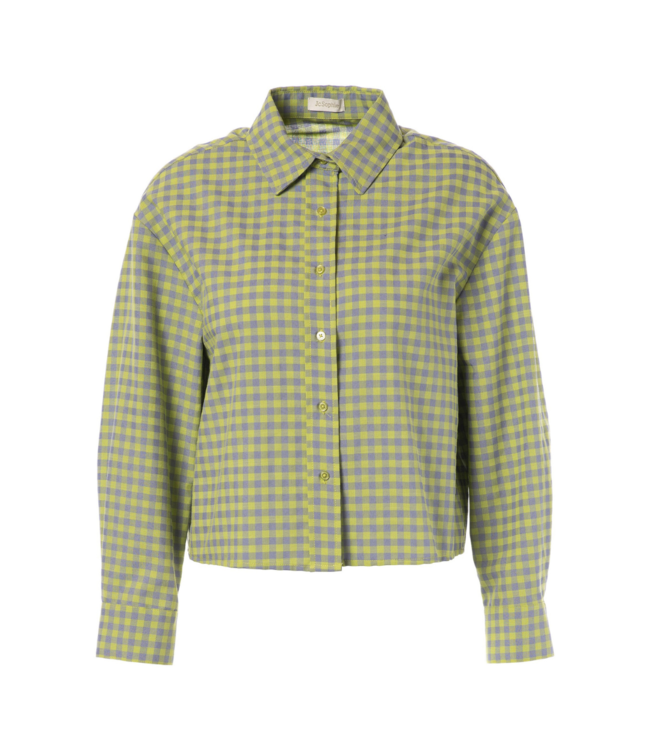JCSophie Jenevieve Blouse - Green Check