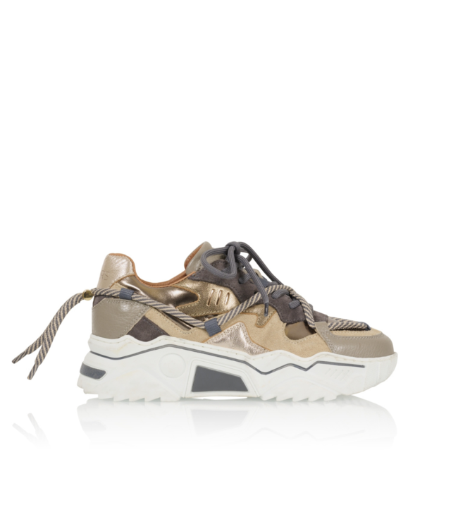 DWRS Label Jupiter - Elefante/Smoke