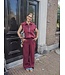 Ydence Pants Solange - Burgundy