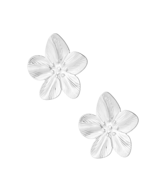 Color Club Oorbellen Petal Pop - Silver