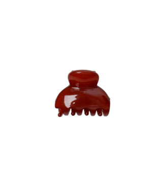 Black Colour Vale Small Hair Claw - Amber