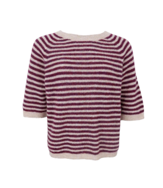 Black Colour Dell Striped Jumper - Plum