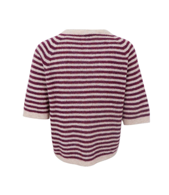 Black Colour Dell Striped Jumper - Plum
