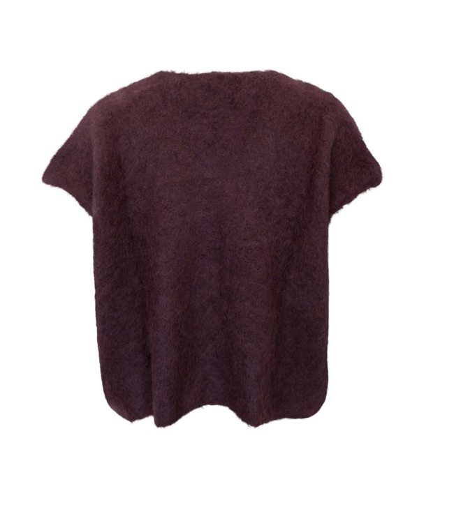 Black Colour Bjoerk Knitted V-Neck Vest - Coffee