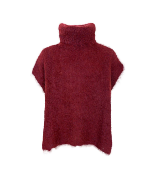 Black Colour Bjoerk Rollneck Vest - Plum