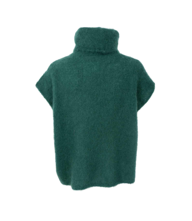 Black Colour Bjoerk Rollneck Vest - Bottle