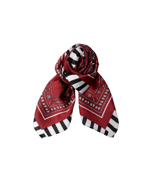 Black Colour Tressa Mini Scarf - Wine