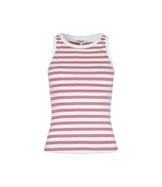 MbyM Evelyn Stripe Jaxson Top - Wild Rose Stripe