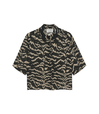 Catwalk Junkie Tiger Short Sleeve Blouse - Black