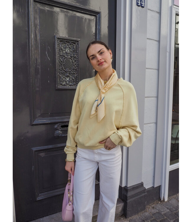 Catwalk Junkie Sweater with V-Neck - Mellow Yellow