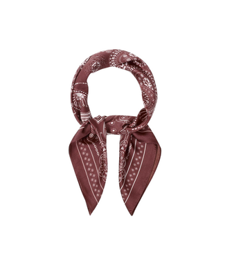 Scarf Paisley - Bordeaux