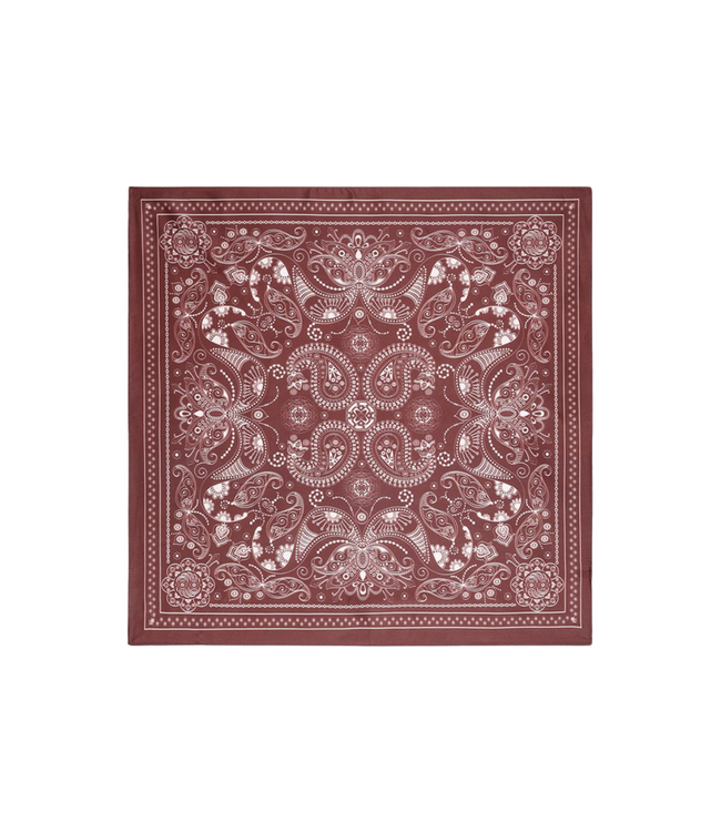 Color Club Scarf Paisley - Bordeaux