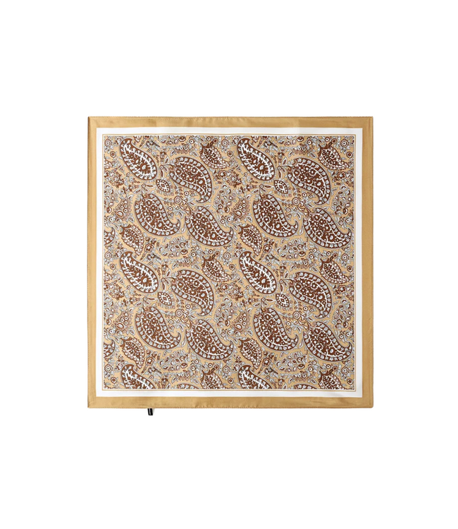 Color Club Scarf Paisley Pattern - Brown