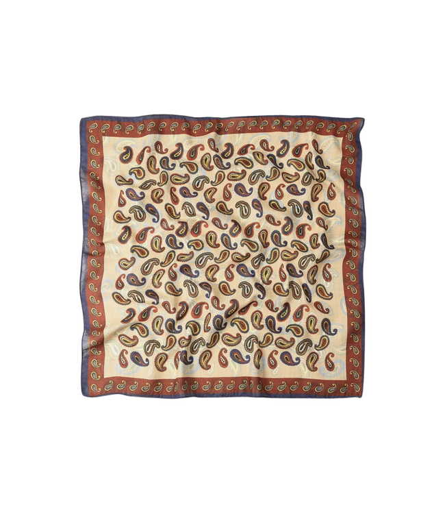 Color Club Scarf Paisley Pattern - Multi