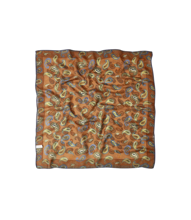 Color Club Scarf Paisley Pattern - Multi