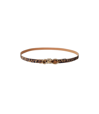 Black Colour Sophy Bow Belt - Natural Leo