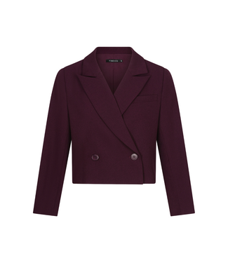 Ydence Blazer Ayla - Aubergine