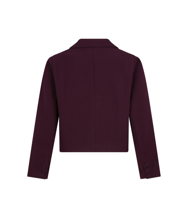 Ydence Blazer Ayla - Aubergine