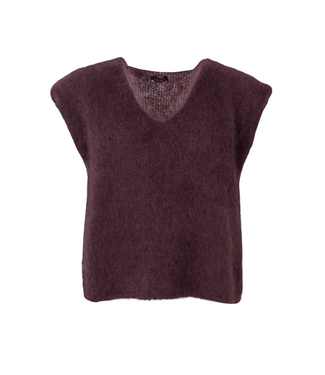 Black Colour Bjoerk Pullover Vest - Coffee