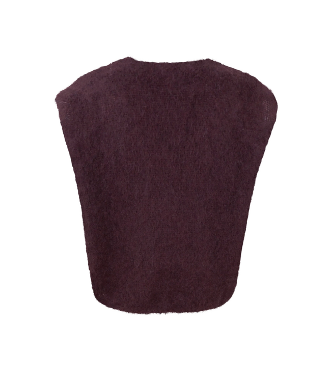 Black Colour Bjoerk Pullover Vest - Coffee