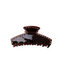 Black Colour Morena Medium Hair Claw - Coffee
