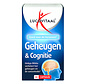 Geheugen & cognitie